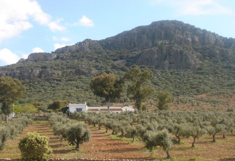 Casa Rural Sierra De Mampar Hornachos Exteriér fotografie